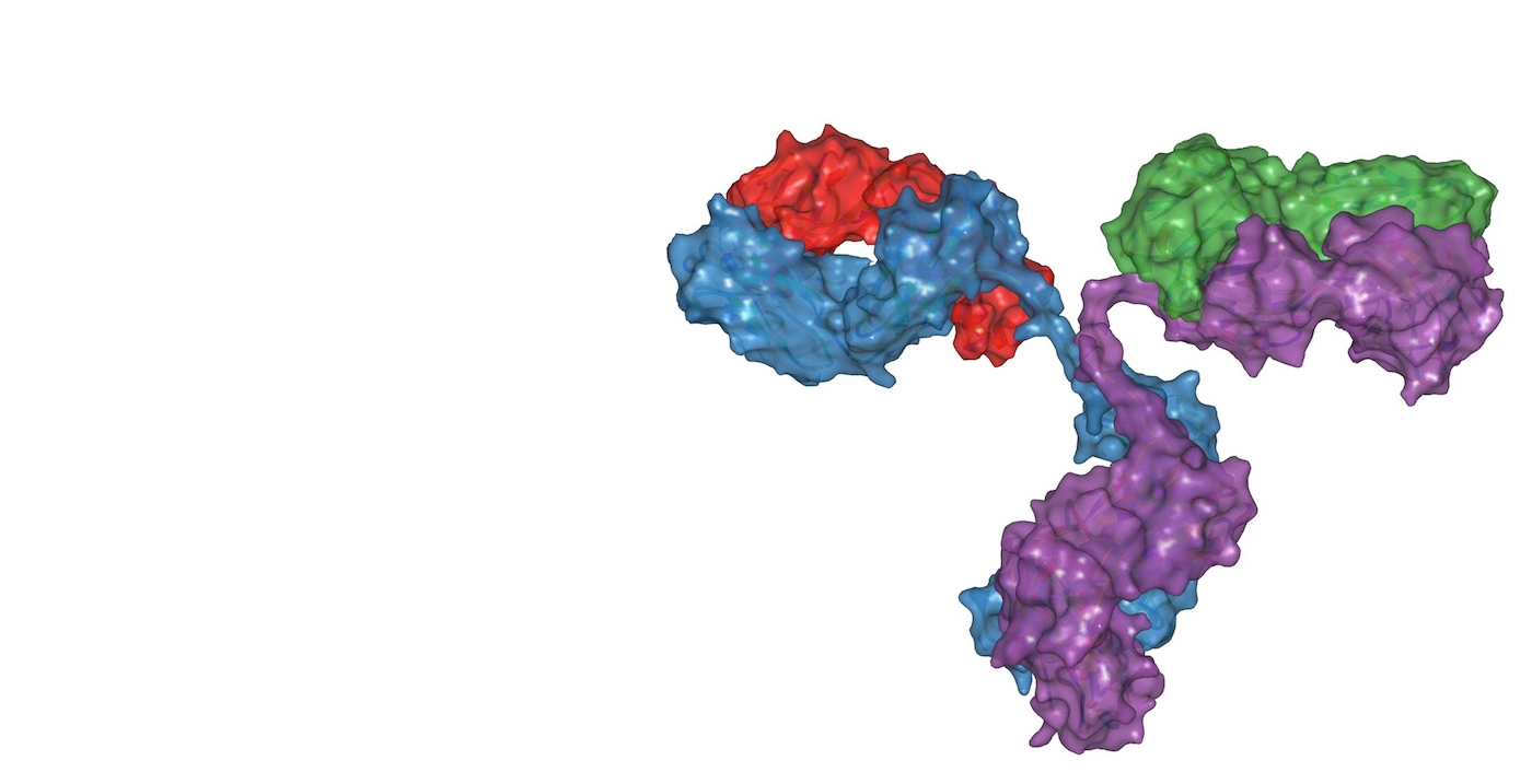 Accelerating Antibody Drug R&D